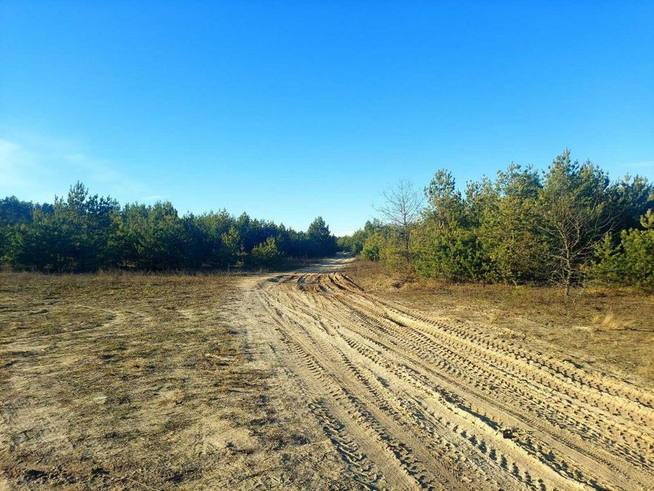 Продаж 2,44га під садівництво з правом забудови в с.Кам'янка(26105783)