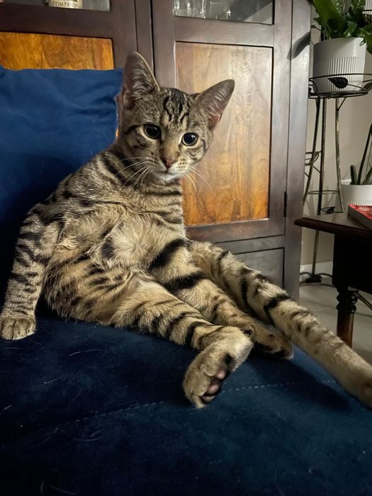 7 mieś.Riko wypatruje swojego człowieka