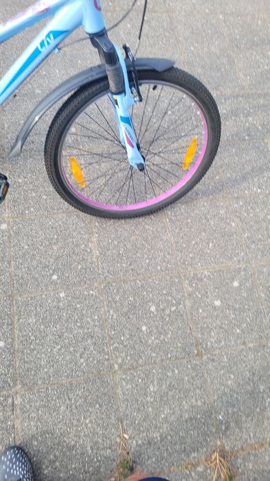 Rower Giant Liv enchant 24