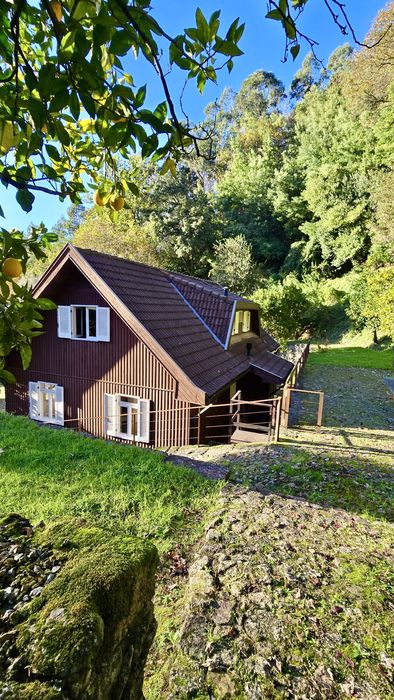 Casa de Férias no Gerês Moradia T4 Com Piscina ate 12 pessoas