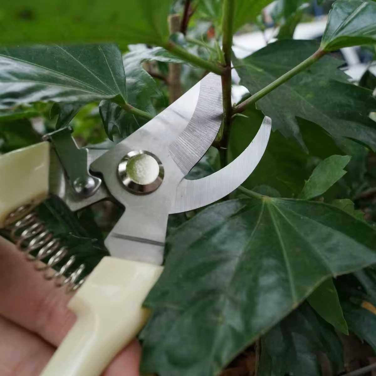 Sekator nożycowy nożyce ogrodowe sekatorek do krzewów i kwiatów