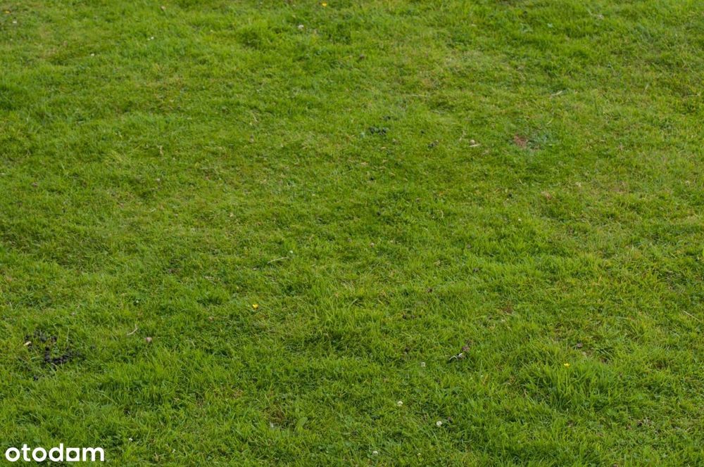 Glęźnowo sprzedam działkę budowlaną 305m2