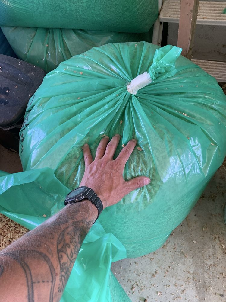 Aparas de Madeira 100% Limpa