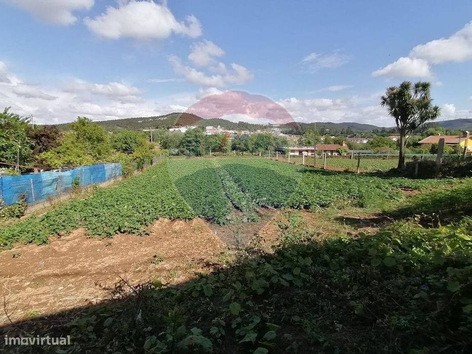 Terreno  para venda