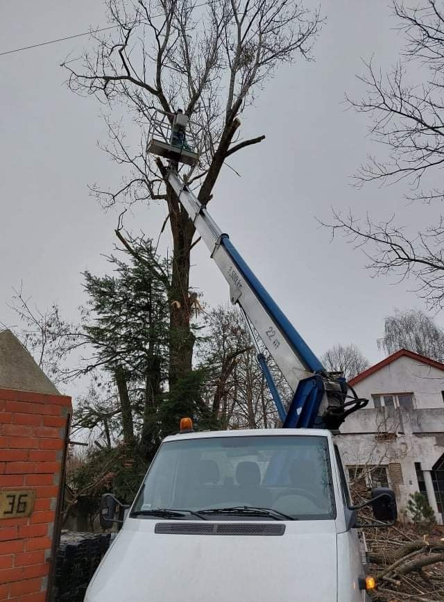 Wynajem podnośnik koszowy zwyżka dźwig 200kg usługi