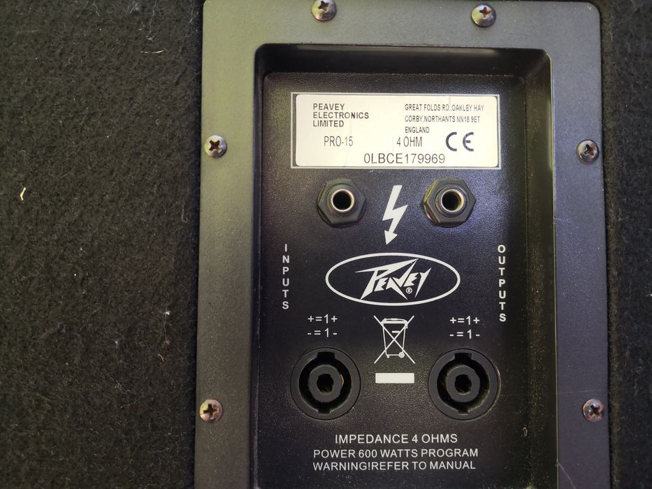 Topos Peavey Pro 15