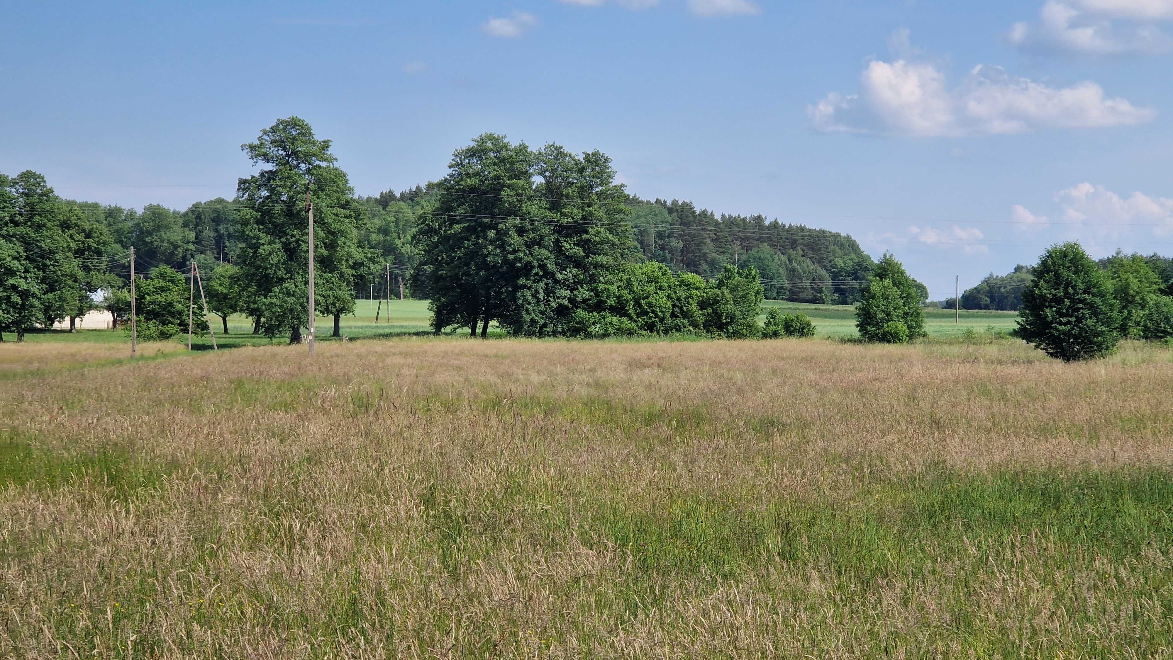 Działka siedliskowa, wokół cisza i spokój. 6100 m2, obręb Koźliki