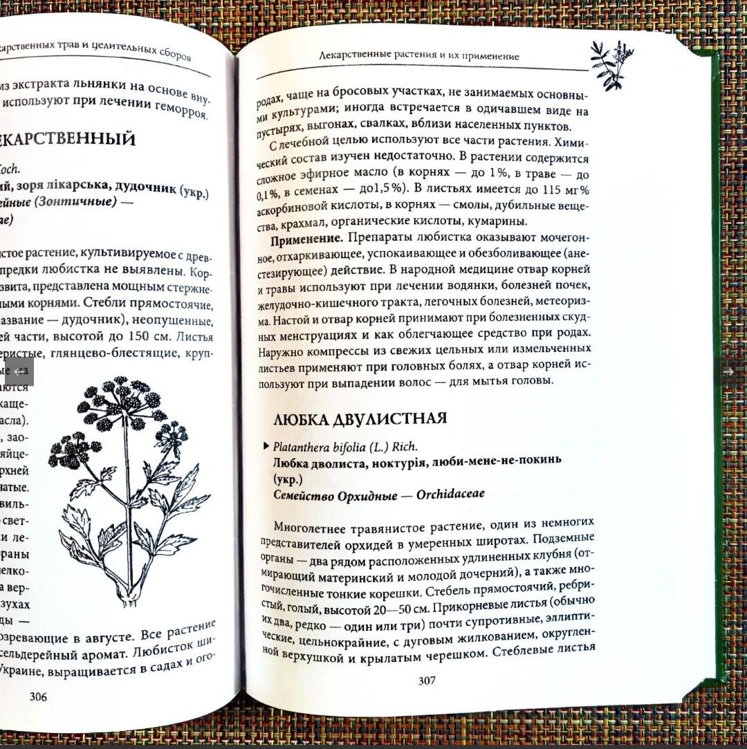Справочник лекарственных трав: 600 растений и сборов