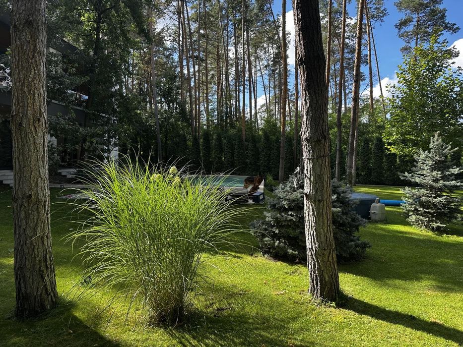 Оренда будинку 37 соток Тарасівка Козин Романків Старі Безрадичі