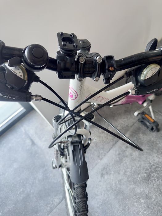 Rower Limber GB1.4 24 cale