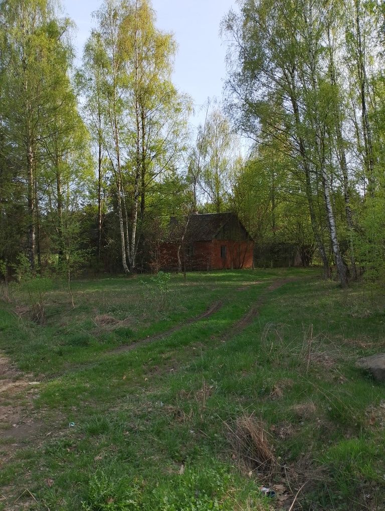 Sprzedam Działki Budowlane POD LASEM w ładnej okolicy