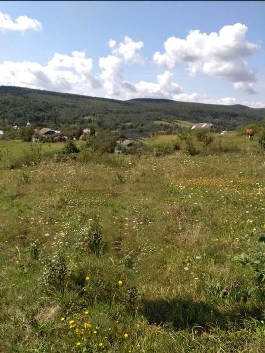 Земельна ділянка с. Нижня Стинава