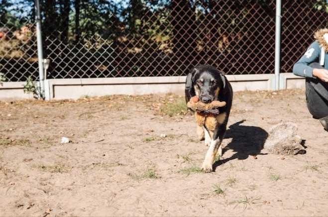 Fryc szuka swojego domu