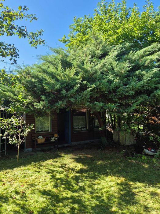 Sprzedam ogródek działkowy ROD Słoneczne w Zabrzu