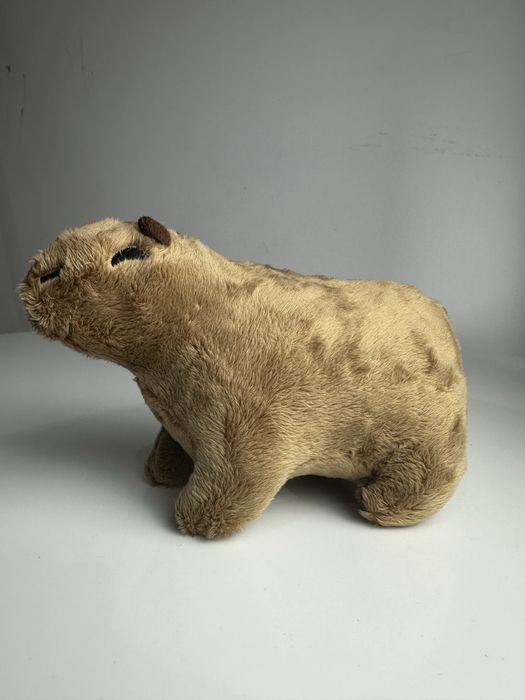 Nowa uśmiechnieta kapibara