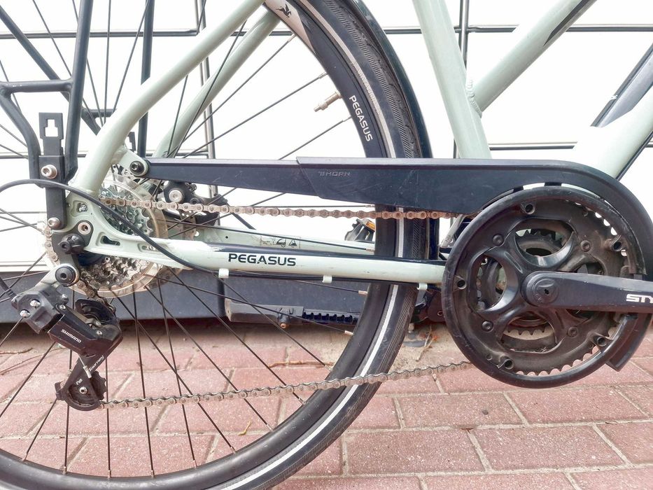 Rower trekkingowy Pegasus Ancura Disc / Shimano 3x8 / rozm. M