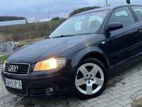 Audi A3 8P 1.9TDI BKC