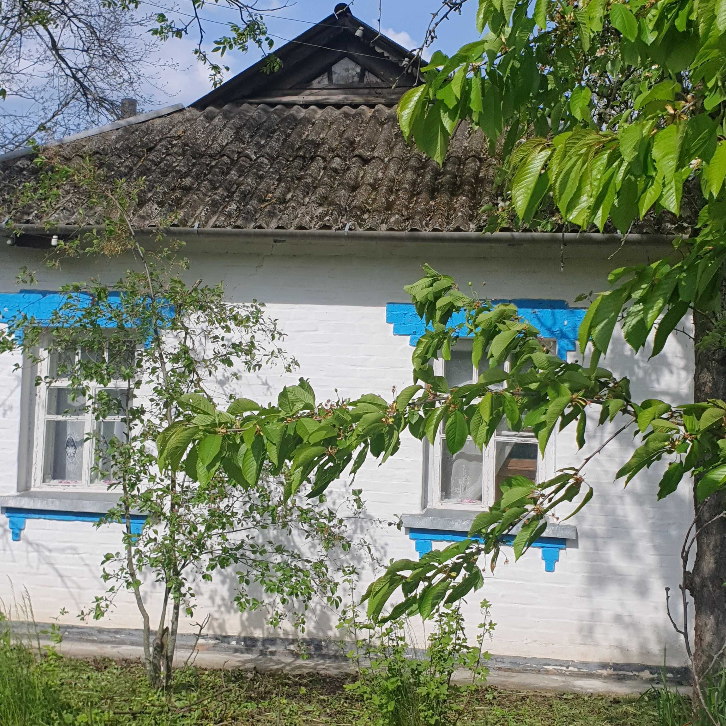 Будинок в селі Велика Березянка