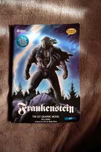 Frankenstein - The graphic novel (inglês)