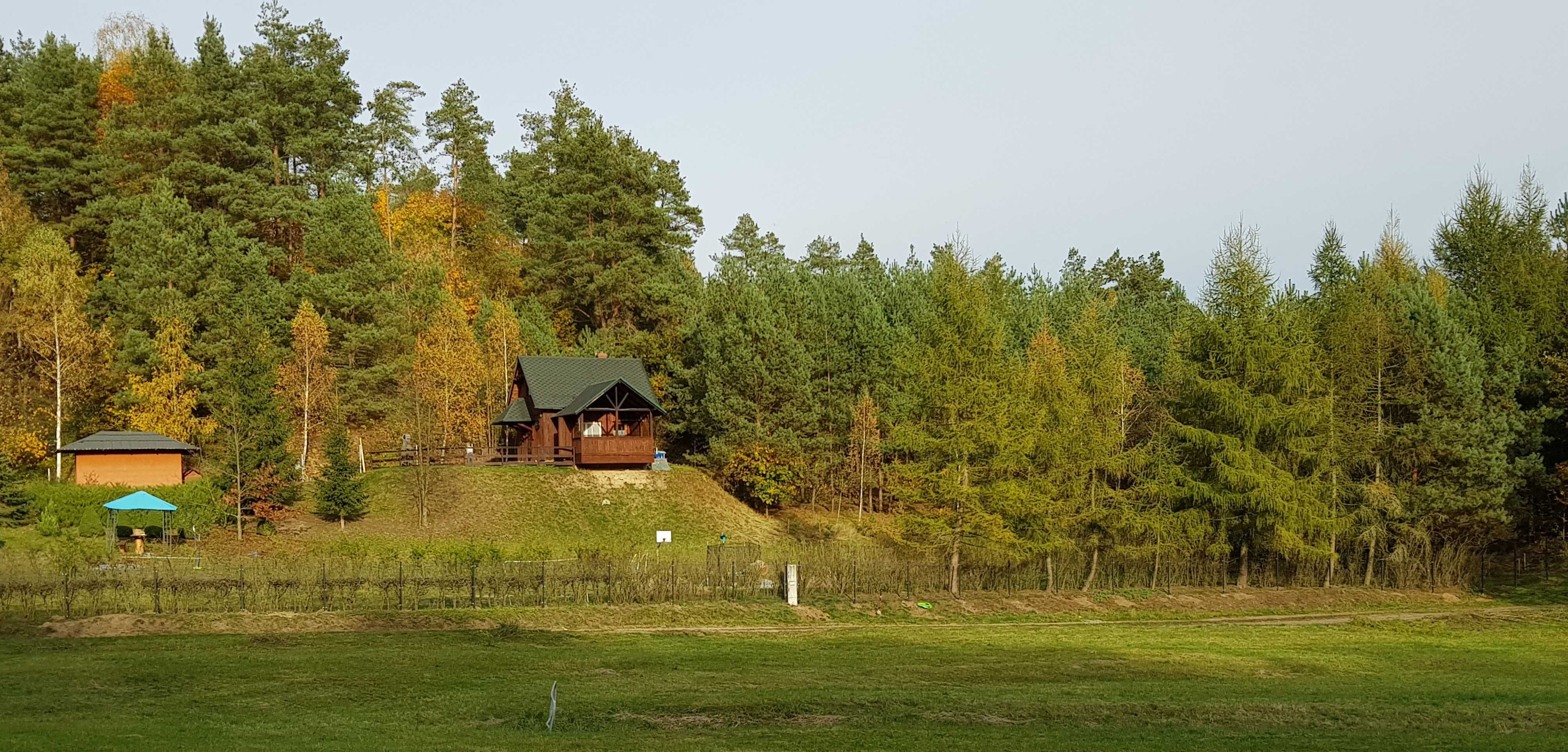 Działka rekreacyjna z domkiem, las i jezioro w okolicy