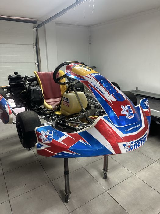 Kart rotax max 125 como novo