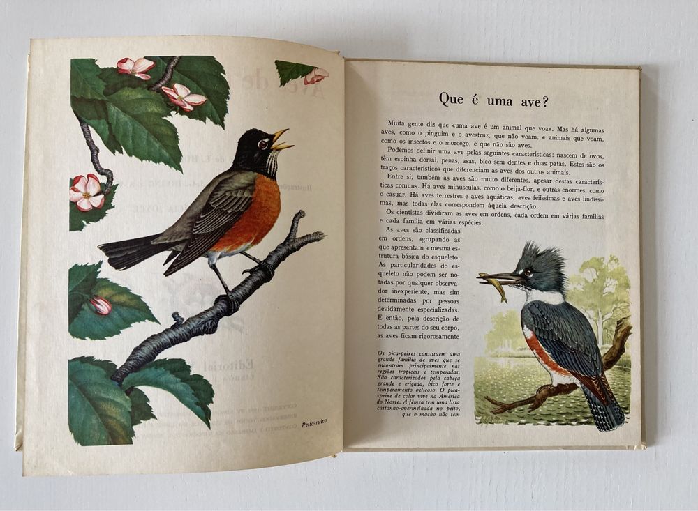 Livro "Aves de Todo o Mundo" Rara Edição Vintage (Anos 60)