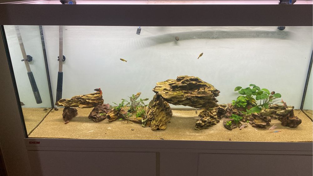 Pedras dragao para aquario