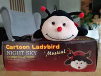 Cartoon Ladybird Night Sky Constellation