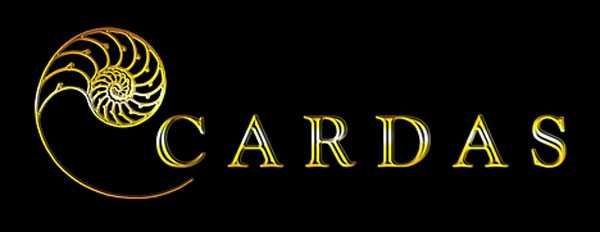 Cardas 101 Speaker-kabel głośnikowy 2x2,5m / zapytaj o promocję!!!