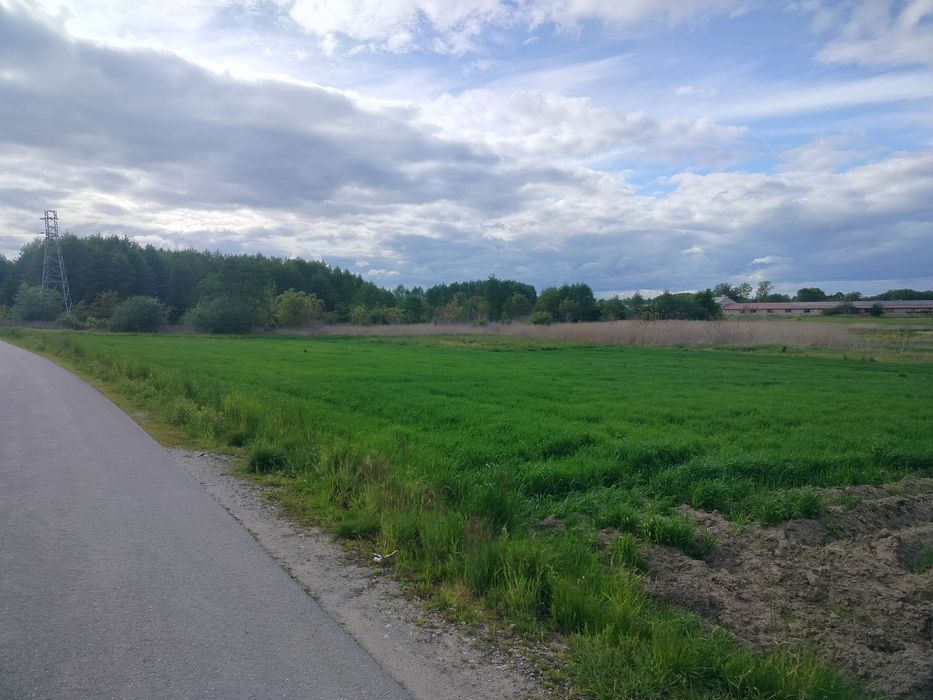 Działka 30 ar w Głuchowie koło Łańcuta