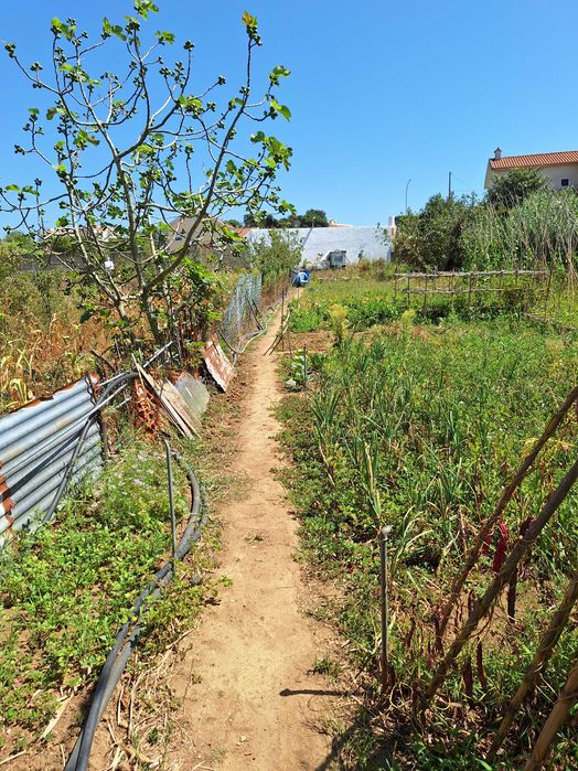 Vendo Terreno Misto para construção e/ou reconstrução, investimento