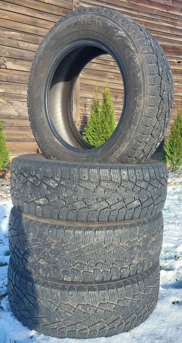 Opony Zimowe Nokian C
