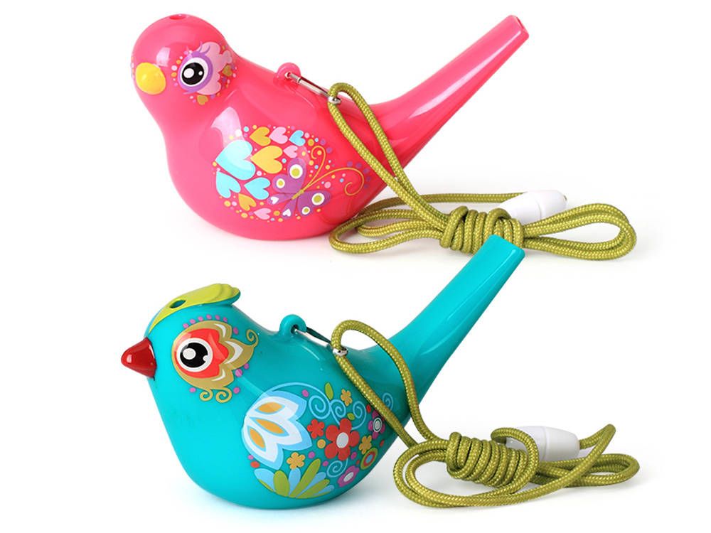 Ptaszek Gwizdek Wodny Water Bird Birds Za1483