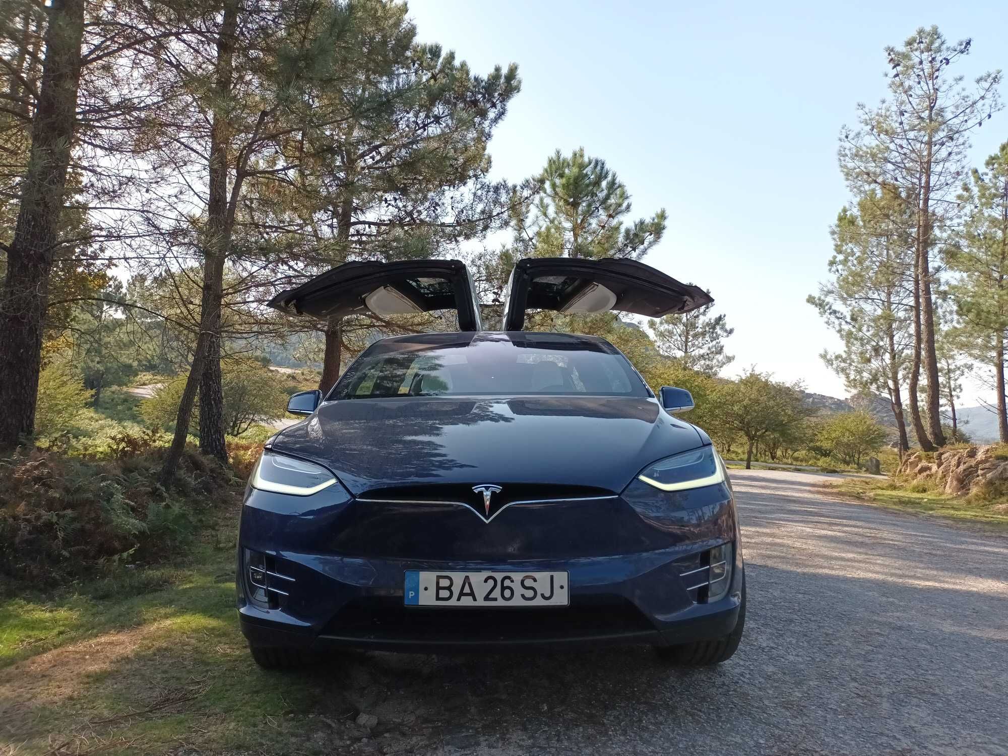 Tesla Model X 75 D - 18