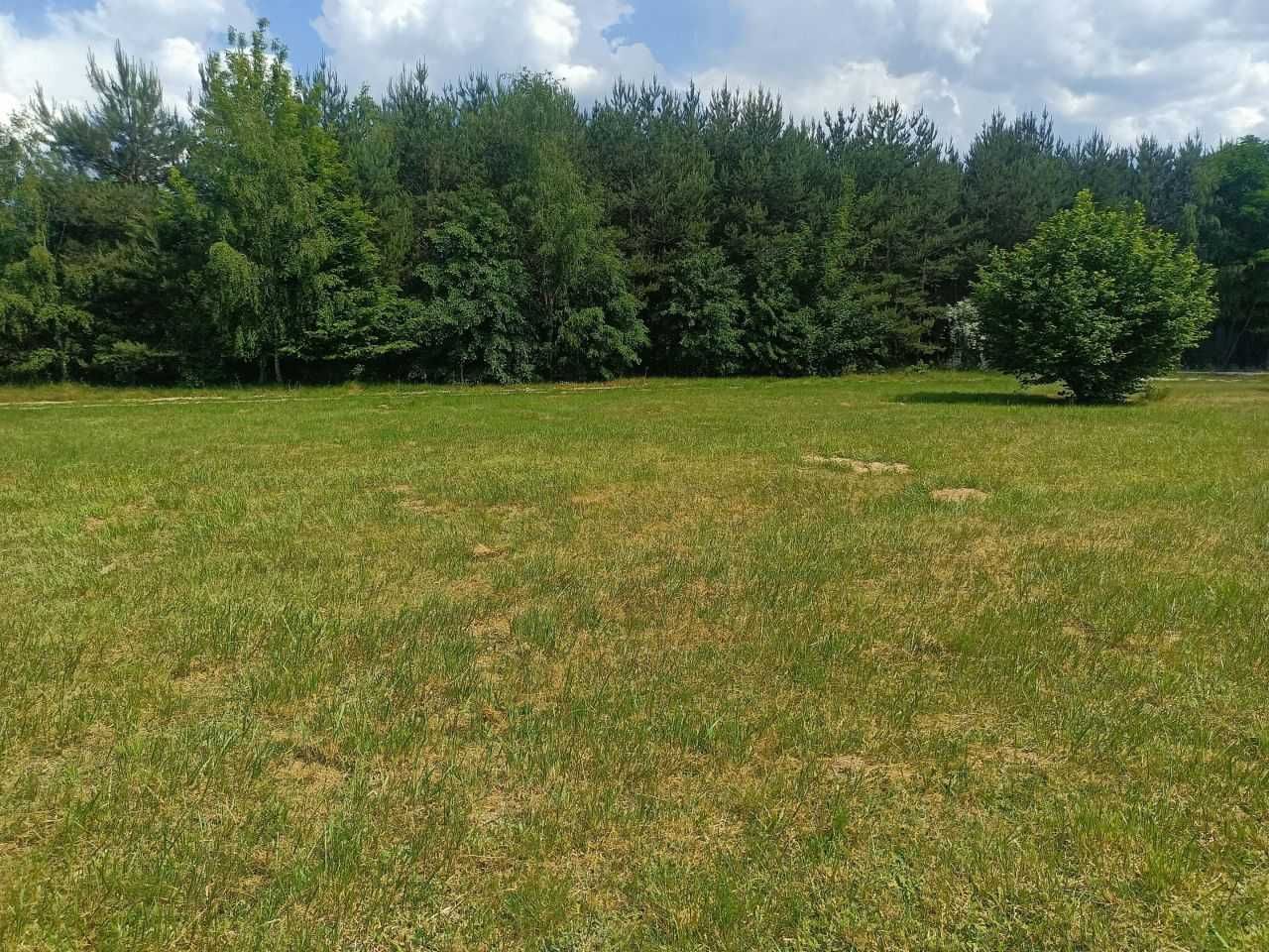 Działka Dąbrówka Wielka z Warunkami Zabudowy 1400m2 ul. Kasztanowa