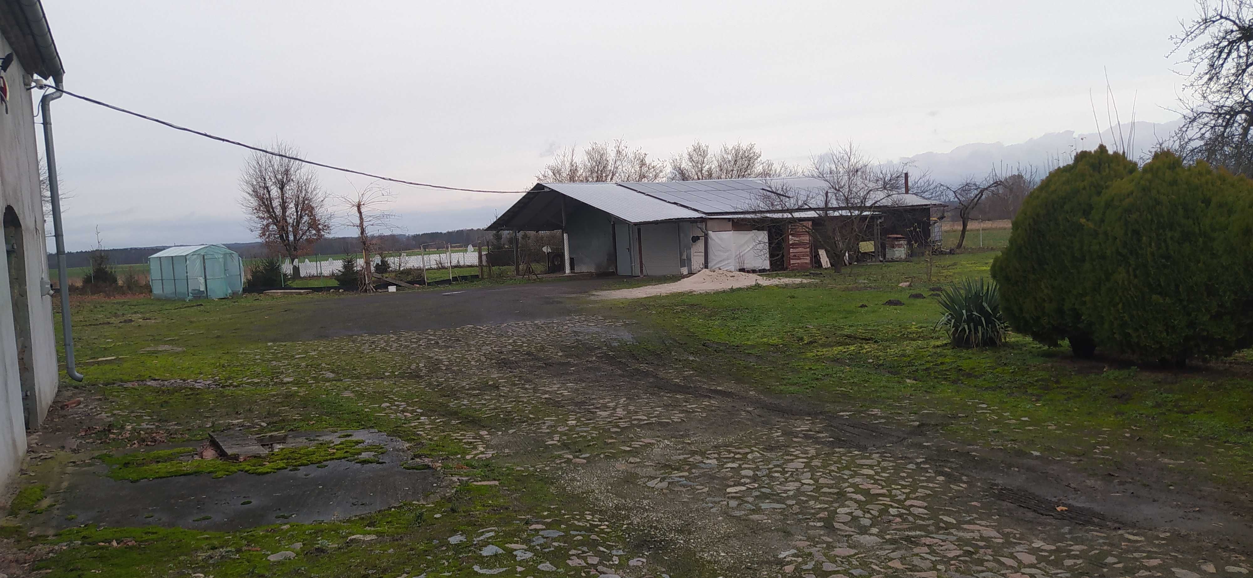 Sprzedam dom w cichej okolicy