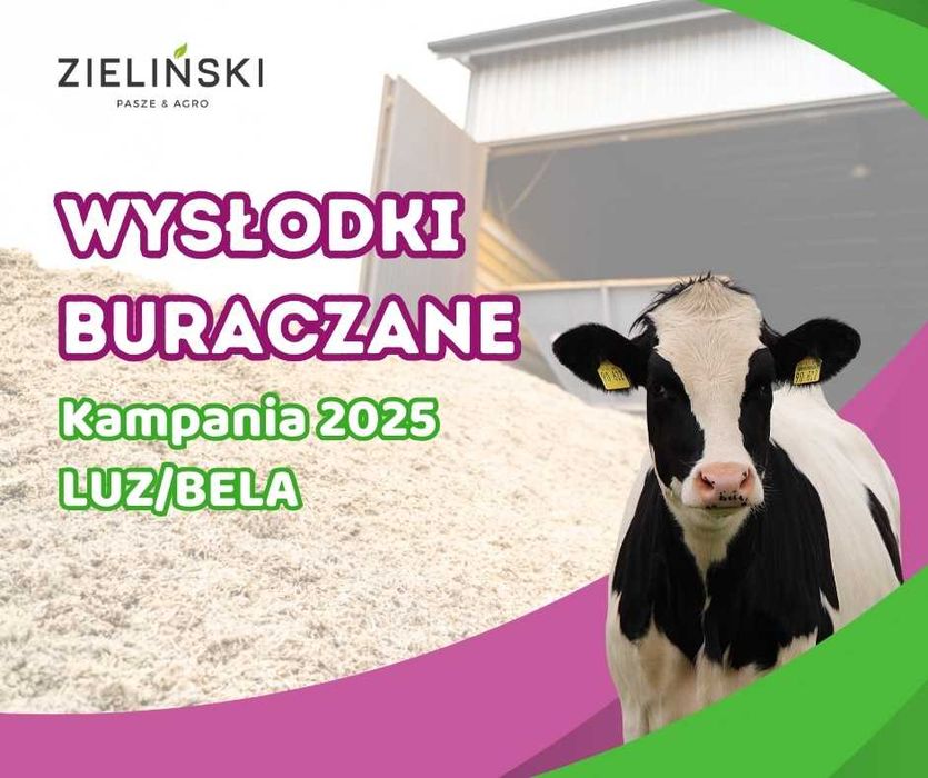 Świeże wysłodki buraczane z Malborka - PROMOCJA!!!