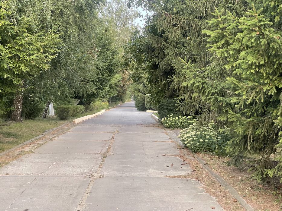 ЩАСЛИВЕ Продається Пейзажна Ділянка 15 соток вул. Соснова 70000$