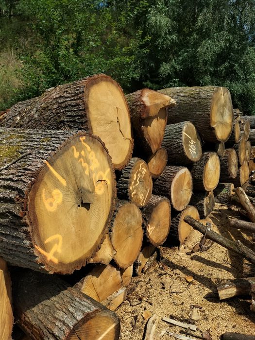 Drewno opałowe i kominkowe