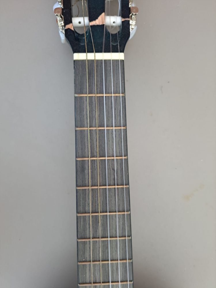 Piekna fajna gitara Alvera