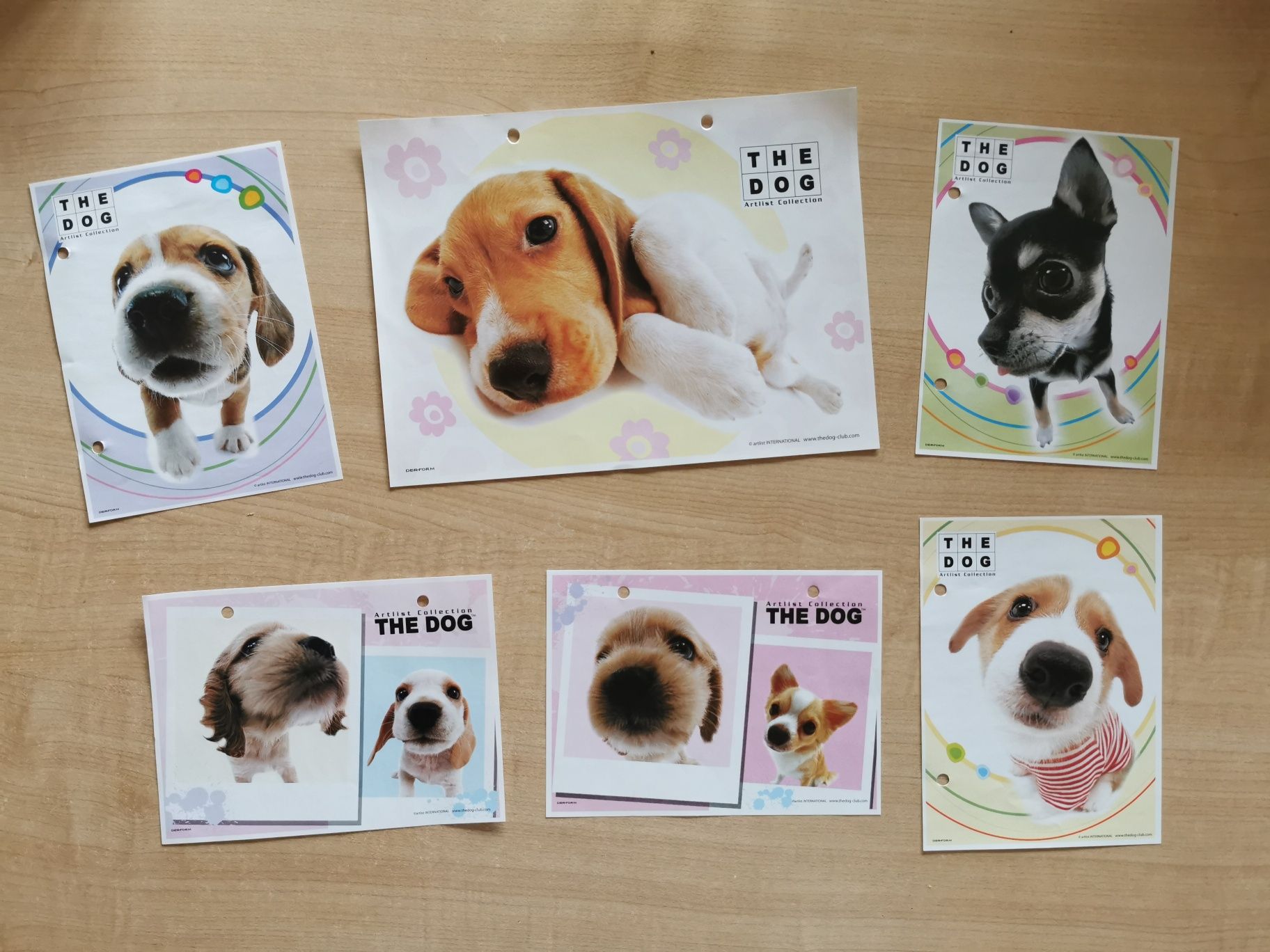 Karteczki do segregatorów, pieski, Happy Dog, część 2