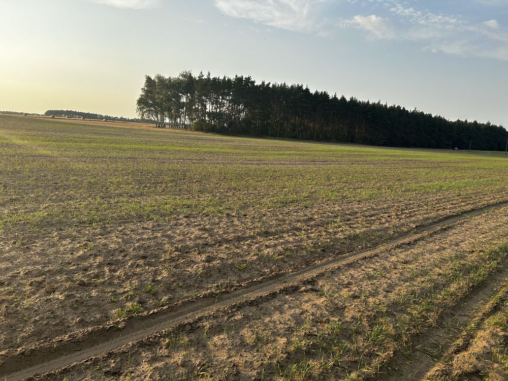 Sprzedam dzialke przy lesie Zawały.