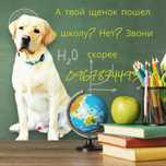Дресирування Школа цуценя. Зоопсихолог. Свій зал!