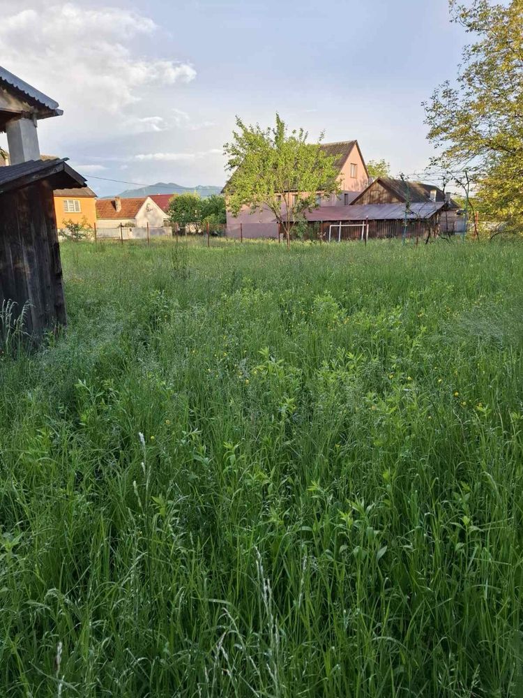 Продаються два будинки + 3 га землі в Карпатах