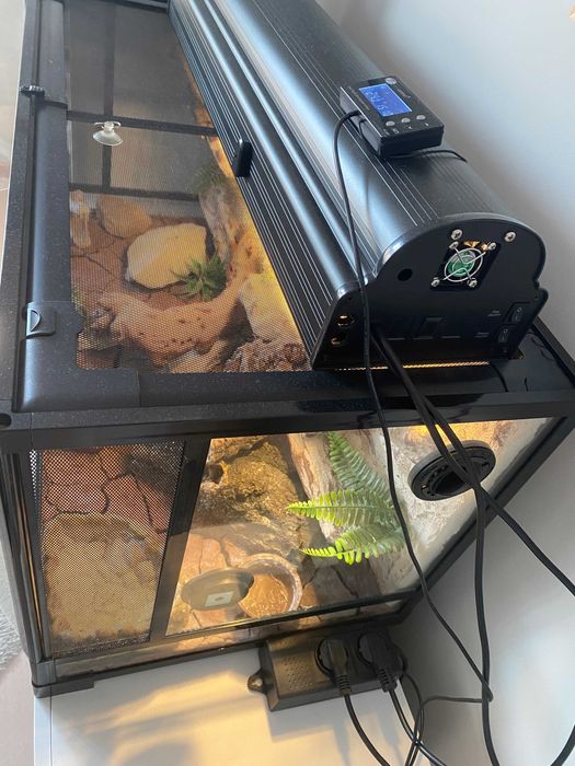 Terrarium dla gekona Repti Zoo z wyposażeniem