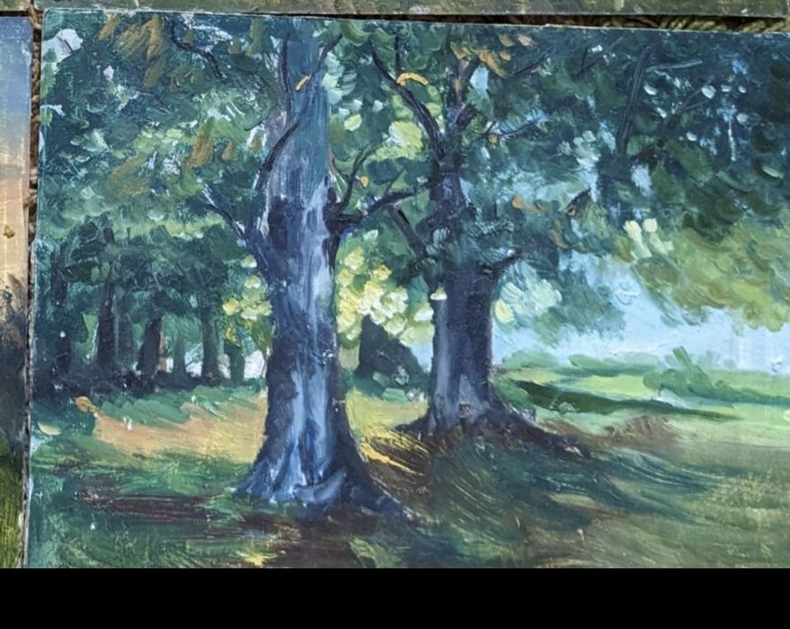 Продам пейзажи  30х40.