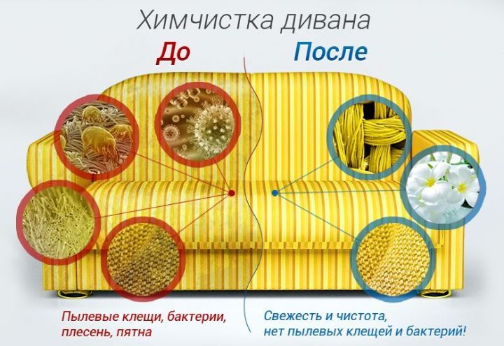Химчистка на дому,Киев,обл! Сушим!!!