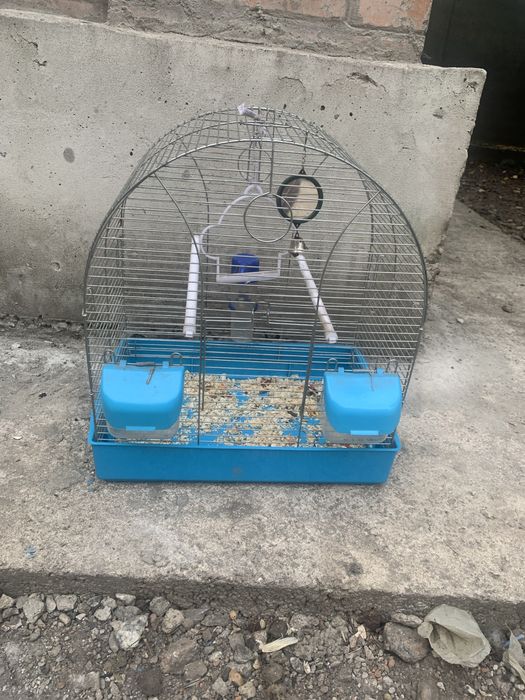 Клітка 250грн