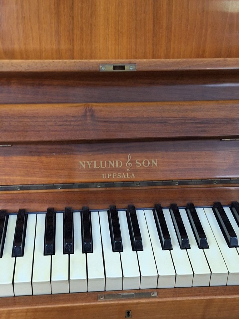 Pianino Nylund &Son  uppsala