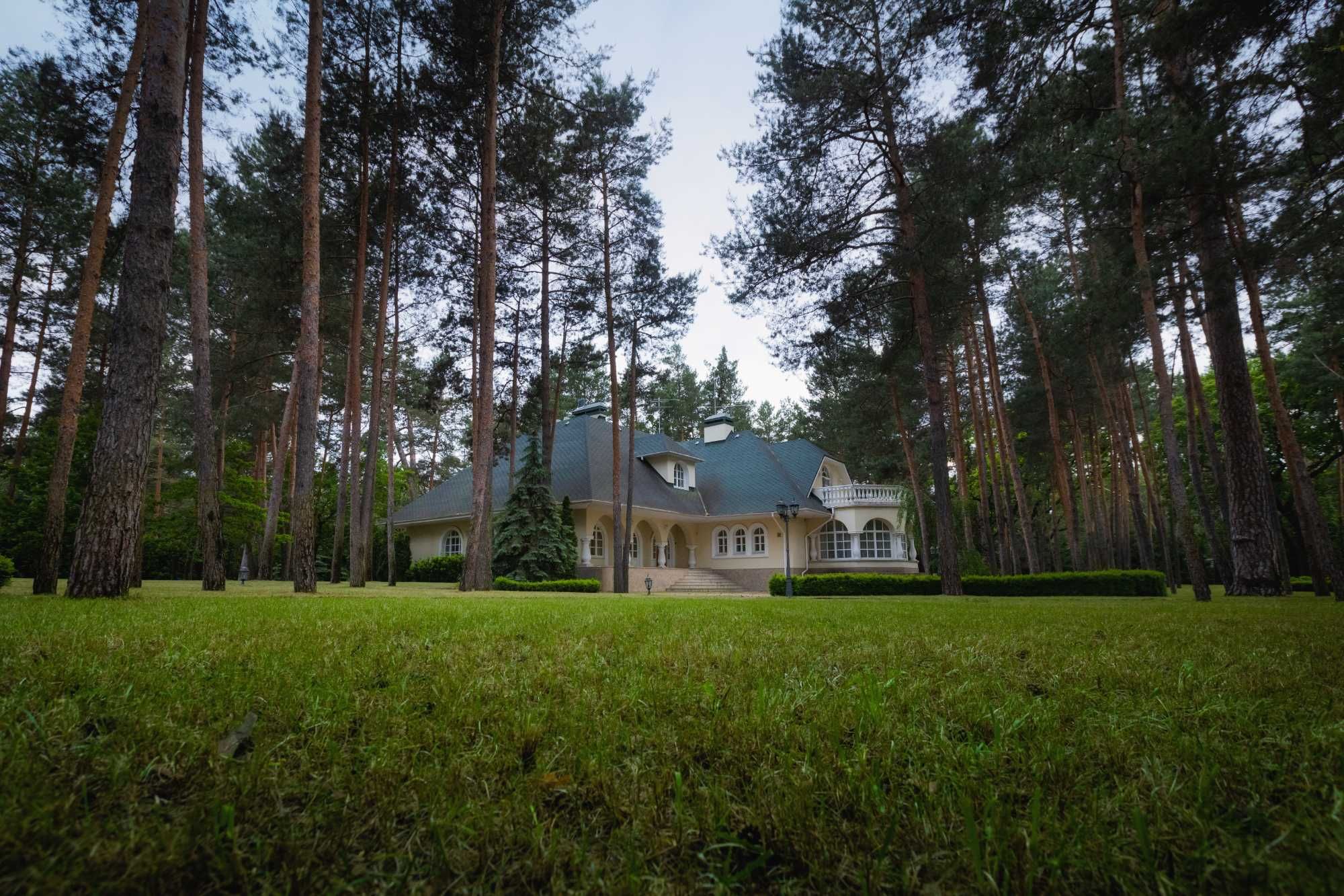 Продам дом, Пятихатки, Козин, в сосновом лесу,698 м, 120 соток
